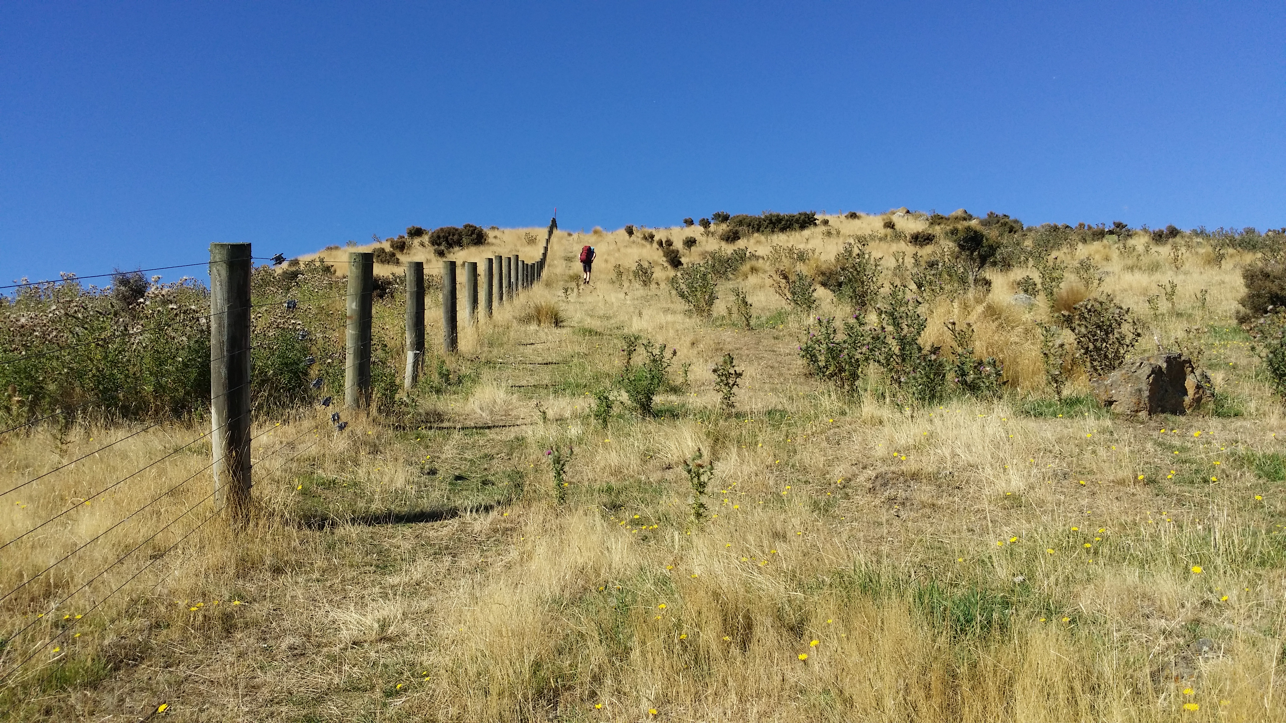 Meg Rutherford Bluff #WalkNZ – Finally reached Bluff | Katrina Megget