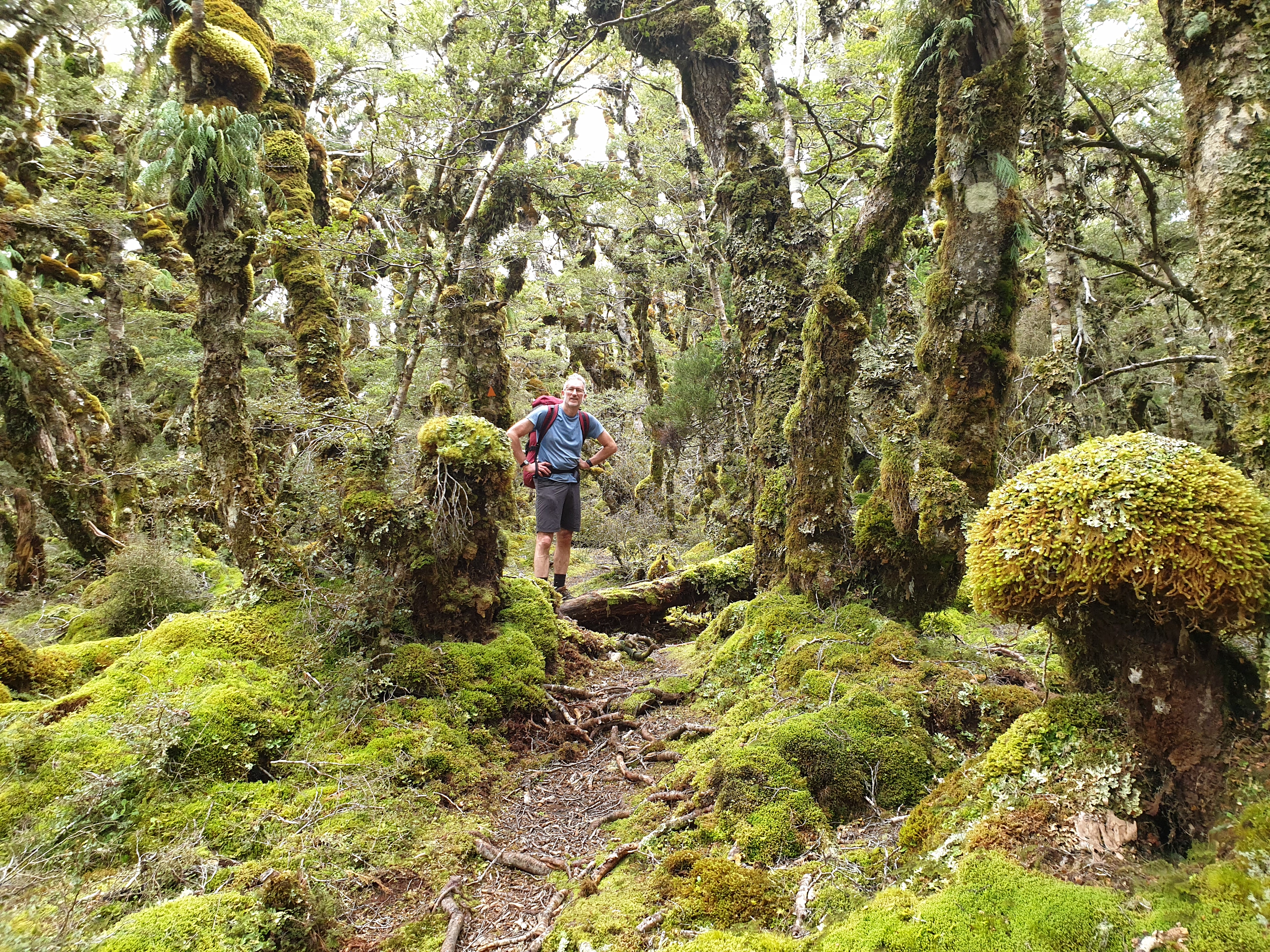 Meg Rutherford Bluff #WalkNZ – Finally reached Bluff | Katrina Megget